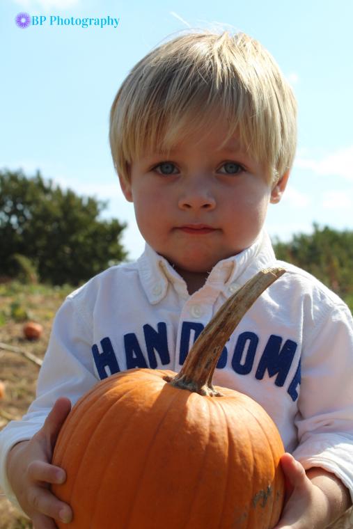 The Perfect Pumpkin