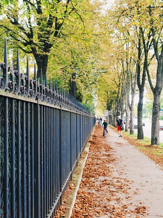 Fall in Paris