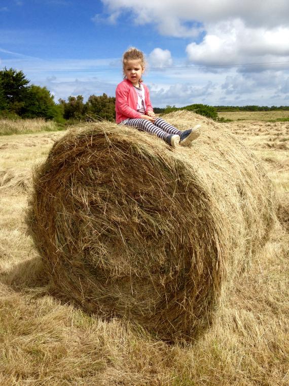 Lou sur la paille