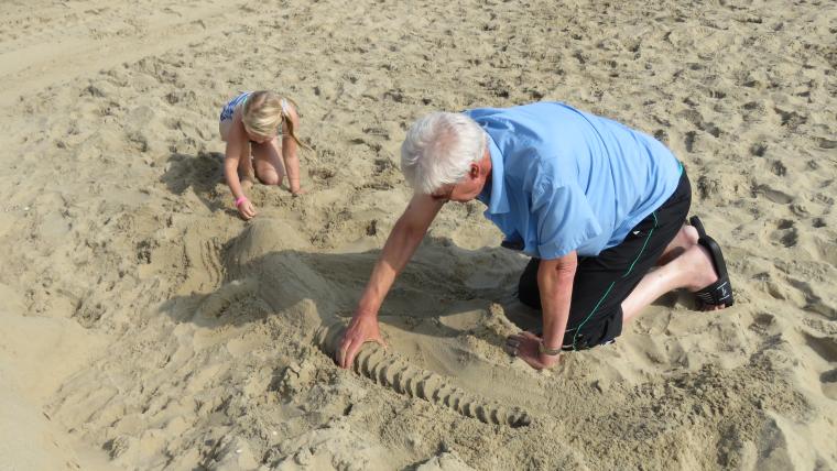 a crocodile of sand