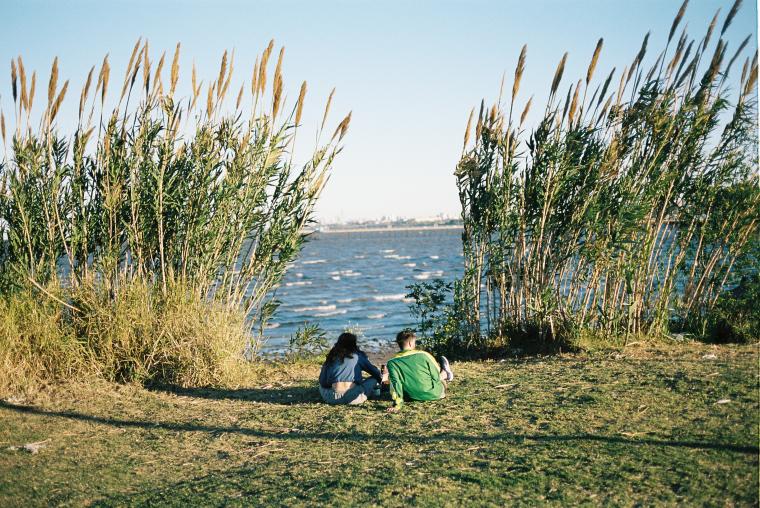 Between The Tall Grass