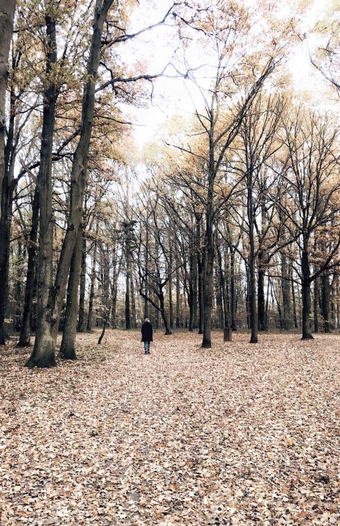 Laisser l’automne s’en aller 