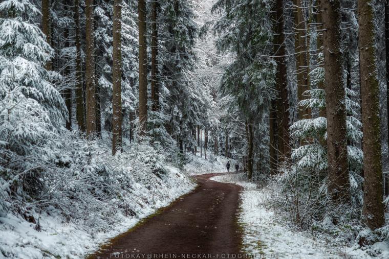 Wintermood - Unterwegs im Odenwald.