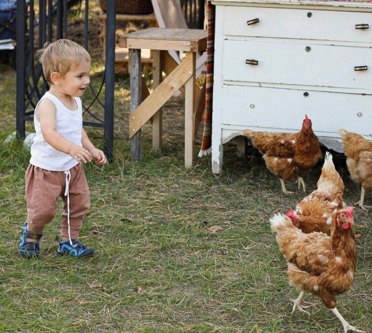 Running wild with the chickens.