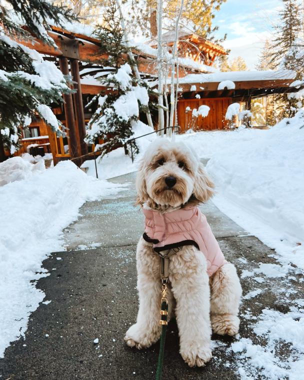 Truckee winter floof