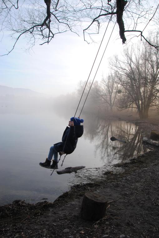 tree swing