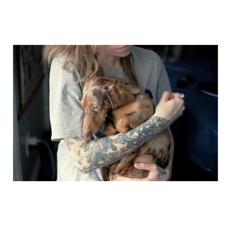 Puppy cuddles
