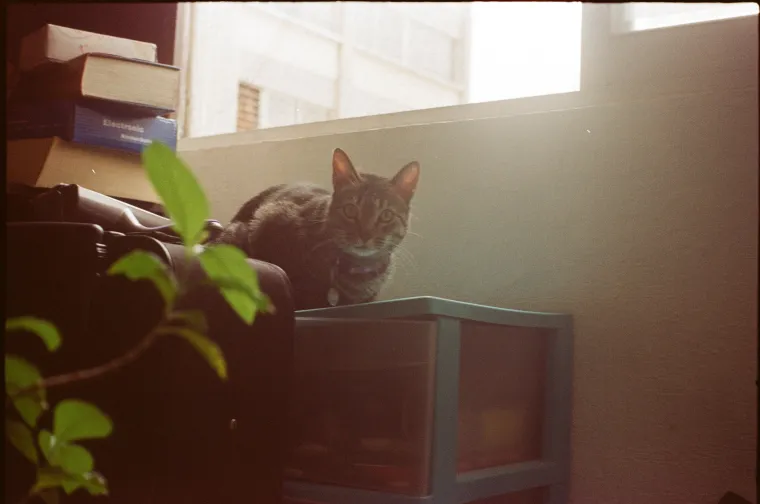 Salem