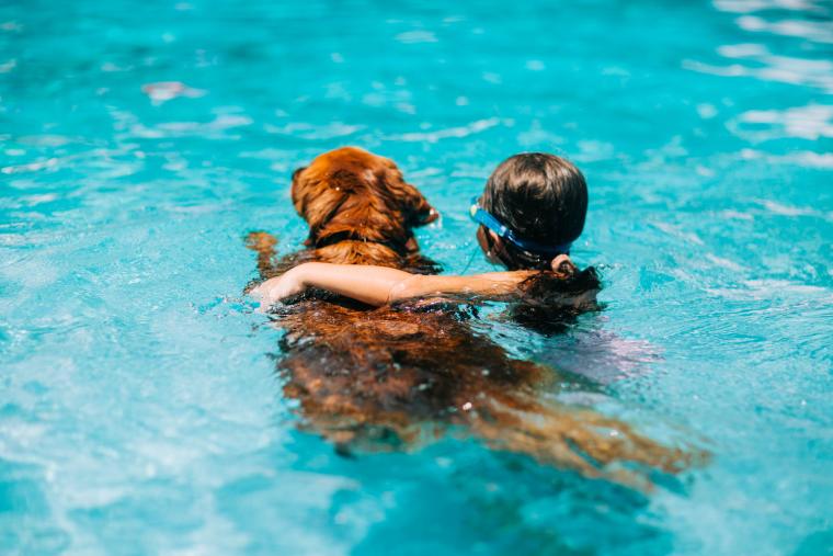 Charlie swimming 