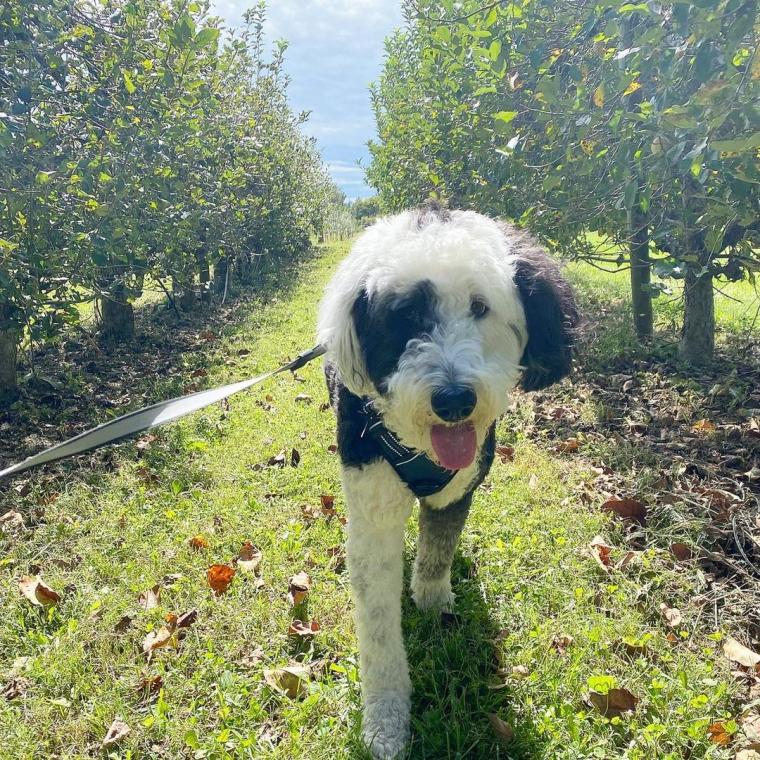 Am I the apple of your eye?! 