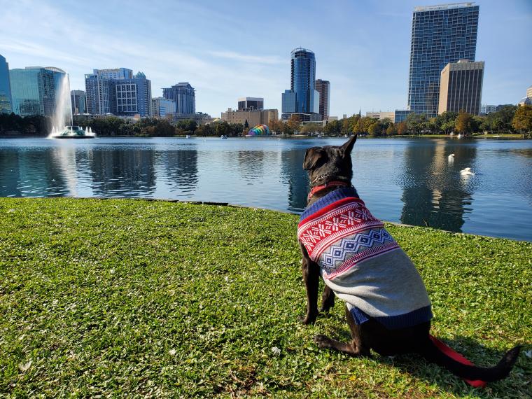 Sweater Weather