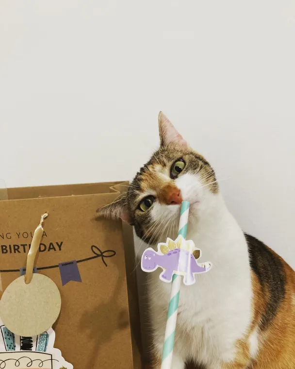 Is This food?