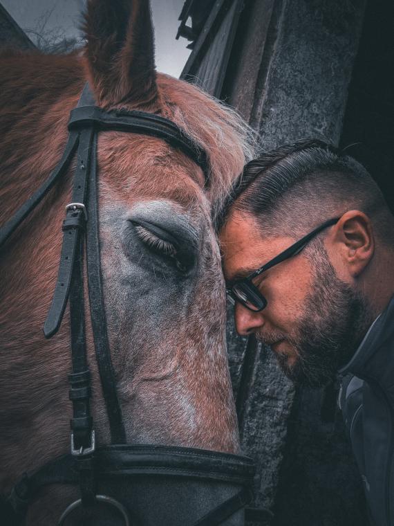 Relaxen mit dem Pferd