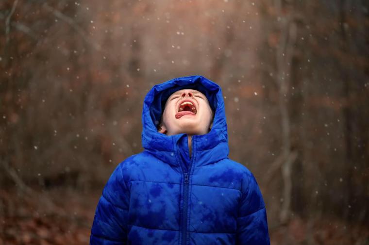 Snow Day
