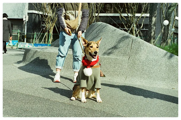 Pets 2/N