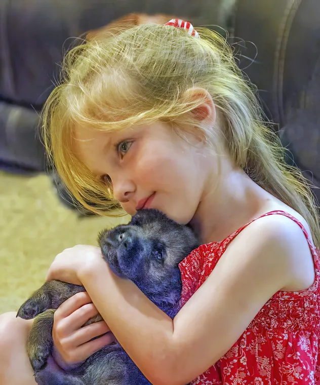 A girl with a German shepherd puppy.
