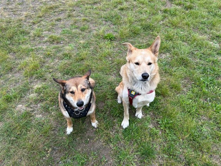 “Mammy said sit still, Memes!” 😛