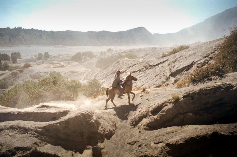 Horseback rider up Mount Bromo Volcano 