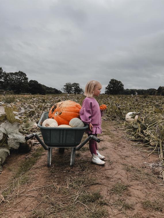 Just a girl and her pumpkins 🎃 