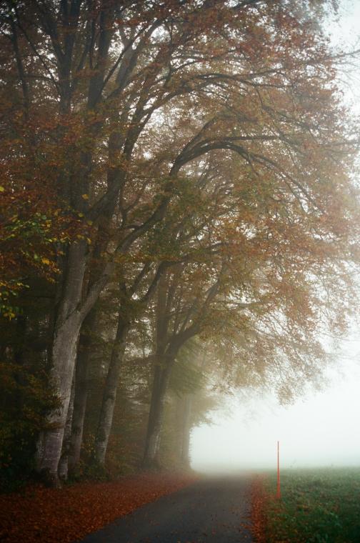 Foggy misty milky moody