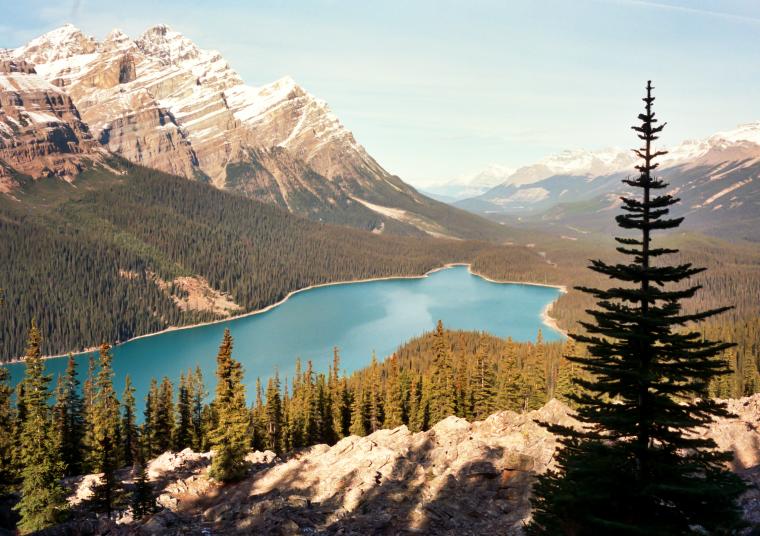 Mid-October at Peyto Lake