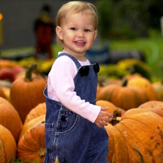 Savannah's Pumpkin Patch