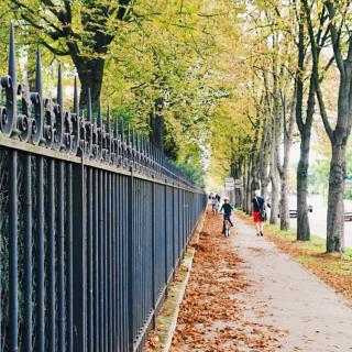 Fall in Paris