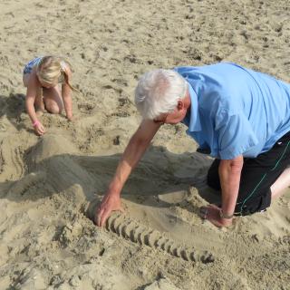 a crocodile of sand