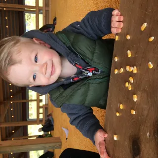 Corn box