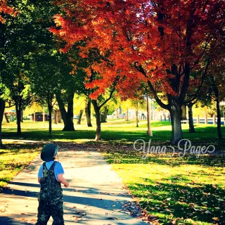 Loving the fall colors