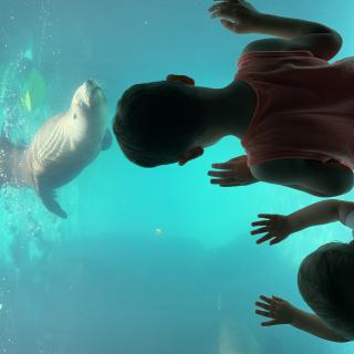 Fun at the Long Island Aquarium in Riverhead NY