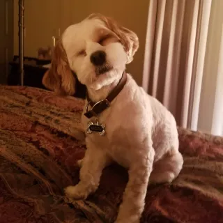 You Can't See Me!