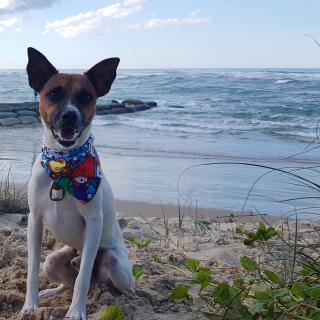 'Marvel'ous Beach Day