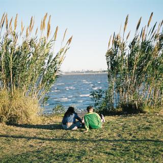 Between The Tall Grass