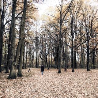 Laisser l’automne s’en aller 