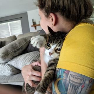 Travis cuddles