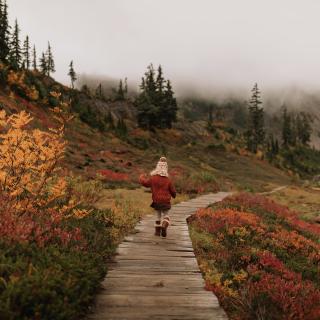 Autumn hike in the mountains