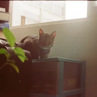 Salem