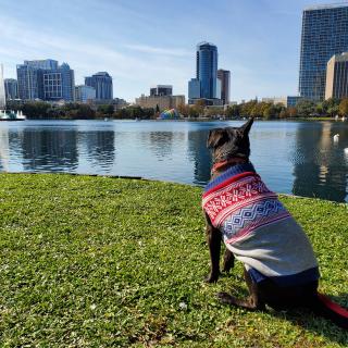 Sweater Weather