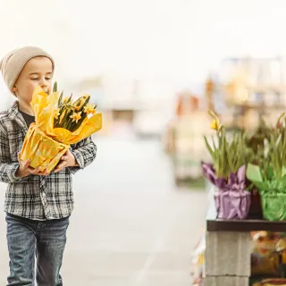 Lowes- Better Than Disney! 