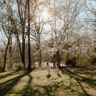spring is here