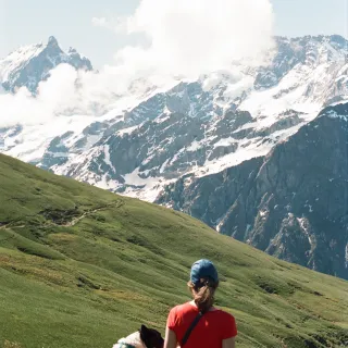 Complicité