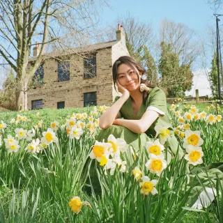 British daffodils