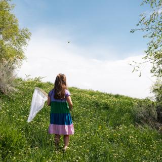 Butterfly Hunting