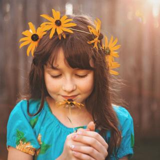 Fun with Black-Eyed Susans