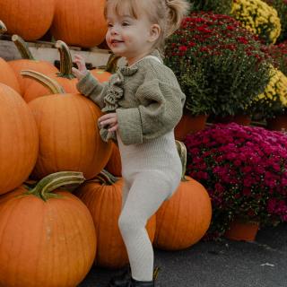 Had to touch every pumpkin 