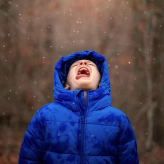Snow Day