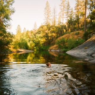 River dips