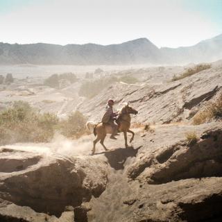 Horseback rider up Mount Bromo Volcano 