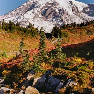 Sunrise at Rainier
